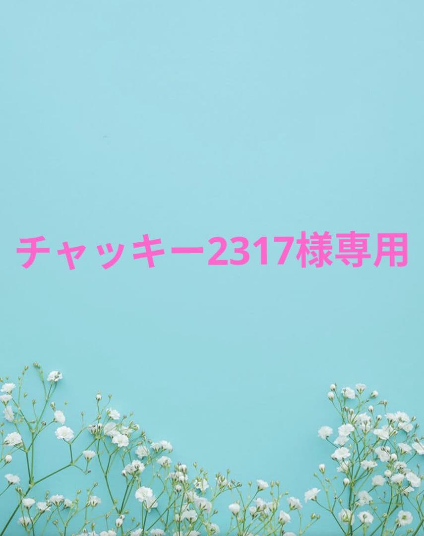 チャッキー2317
