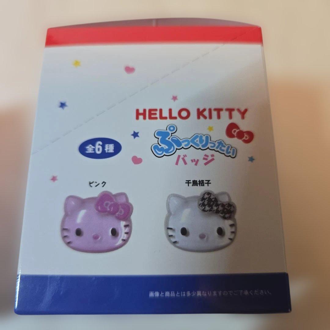サンリオ　ぷっくりったい　バッジ