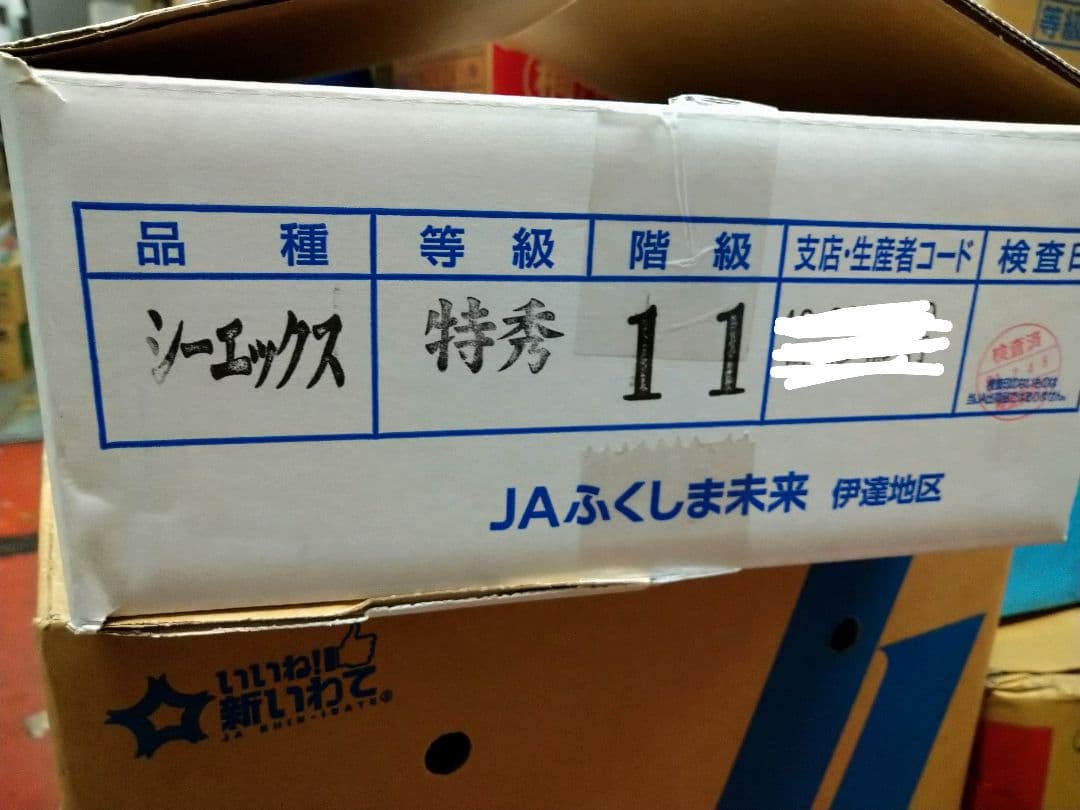 硬い桃(CX／シーエックス)11玉 ふくしま未来
