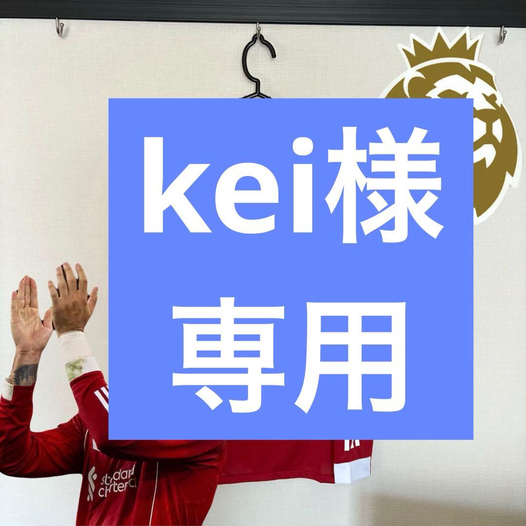 ソボスライ L