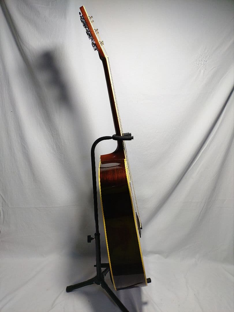 MORRIS 　SPECIAL 　TF - 50 　　ハードケース付属