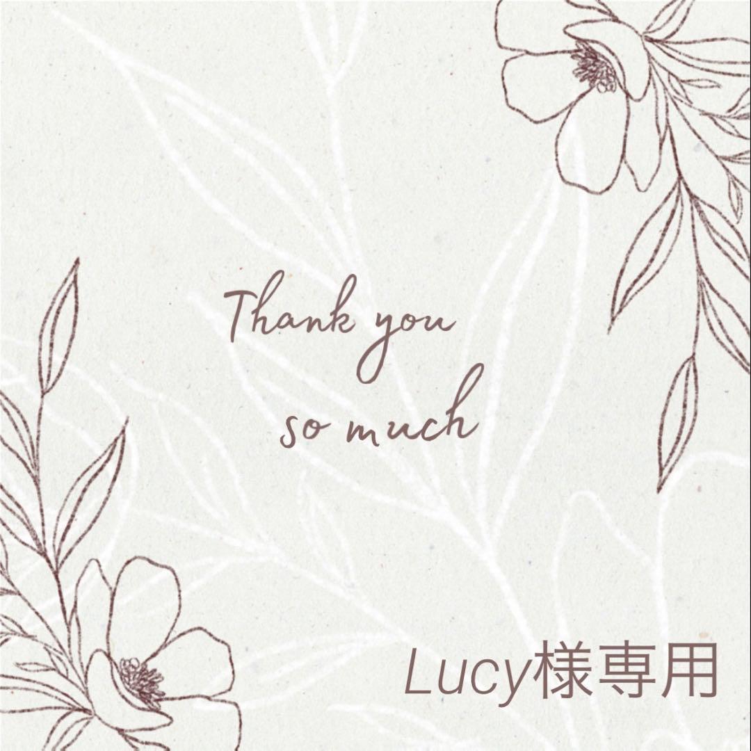 Lucy様 リクエスト 6点 まとめ商品