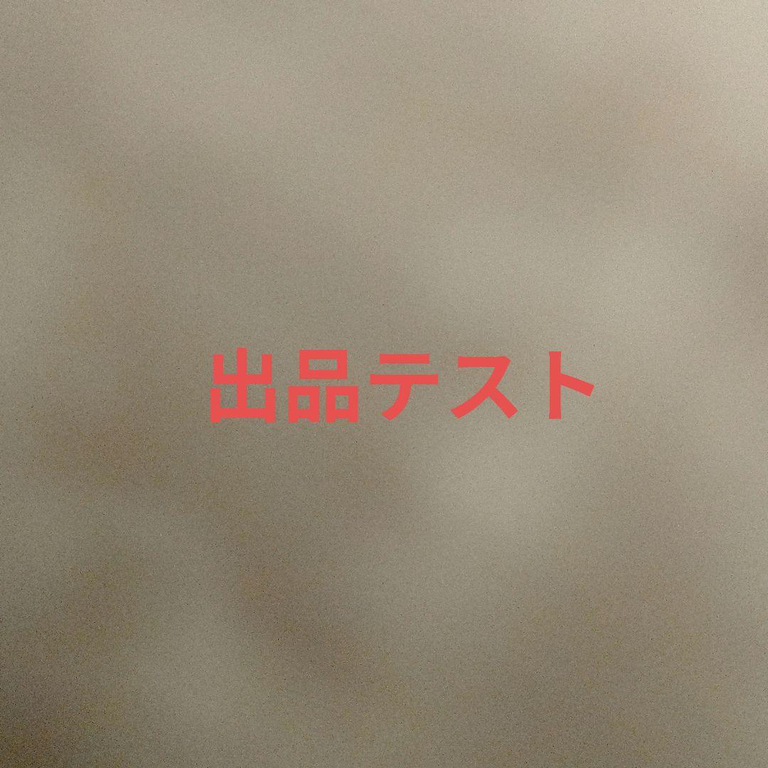 出品テスト