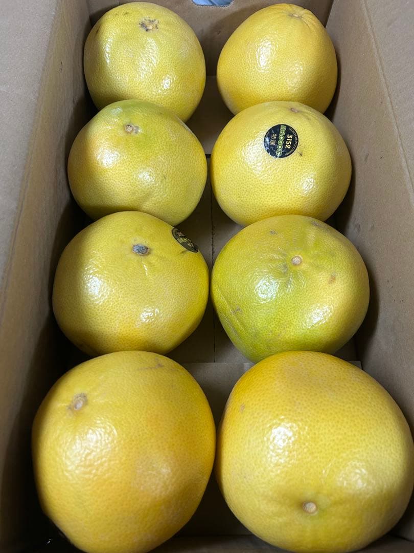 果物 cyaro