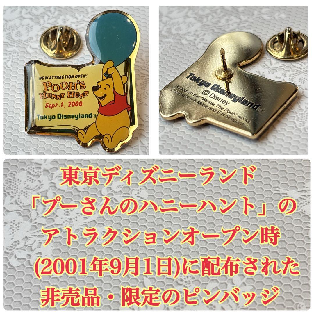 【レアあり】ディズニーランド・ディズニーストア・ピンバッジ21点セット 匿名配送