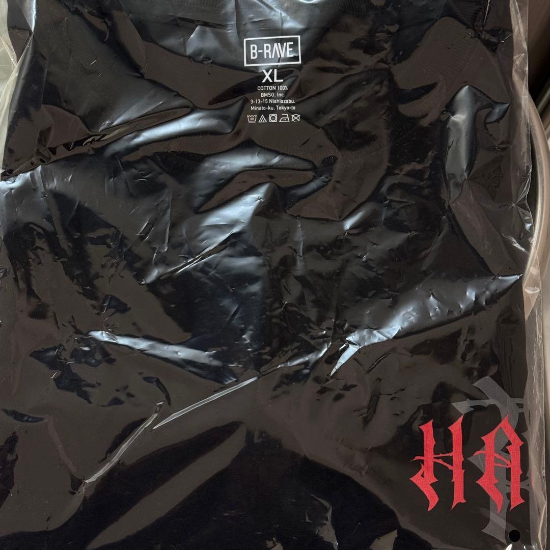 【即日発送】HANA ロゴTシャツ XLサイズ