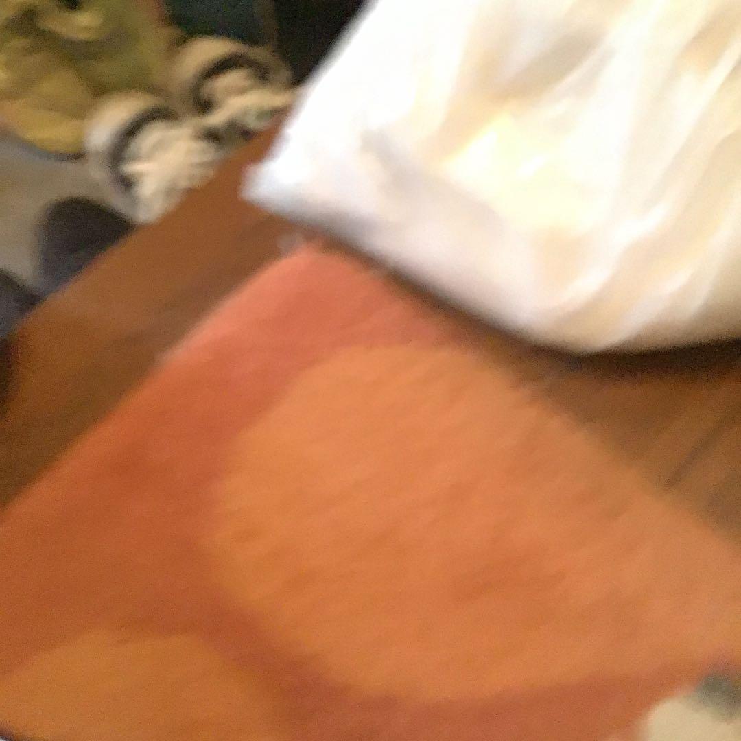 動物