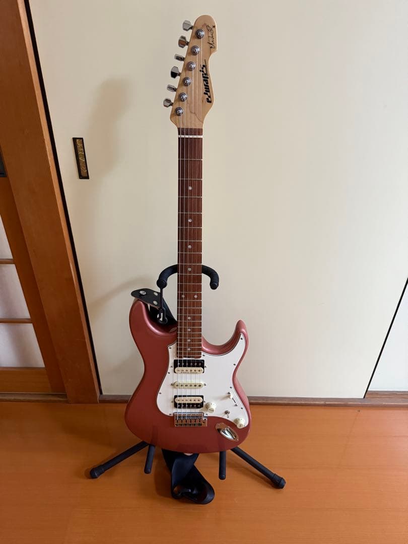 ESP EDWARDS エレキギター　Fujioka Custom