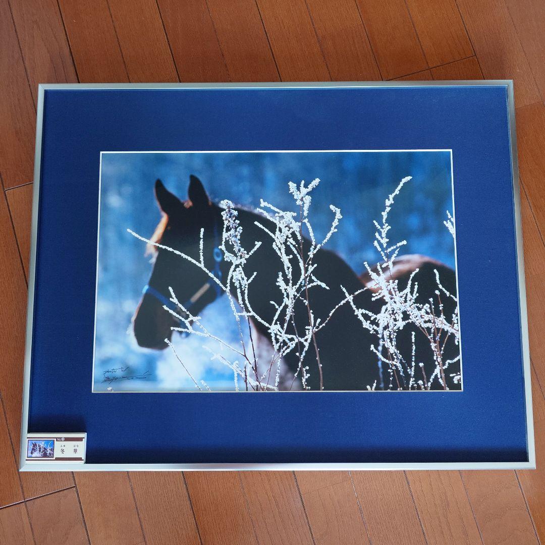 JRA　競馬　馬写真（額入り）冬花