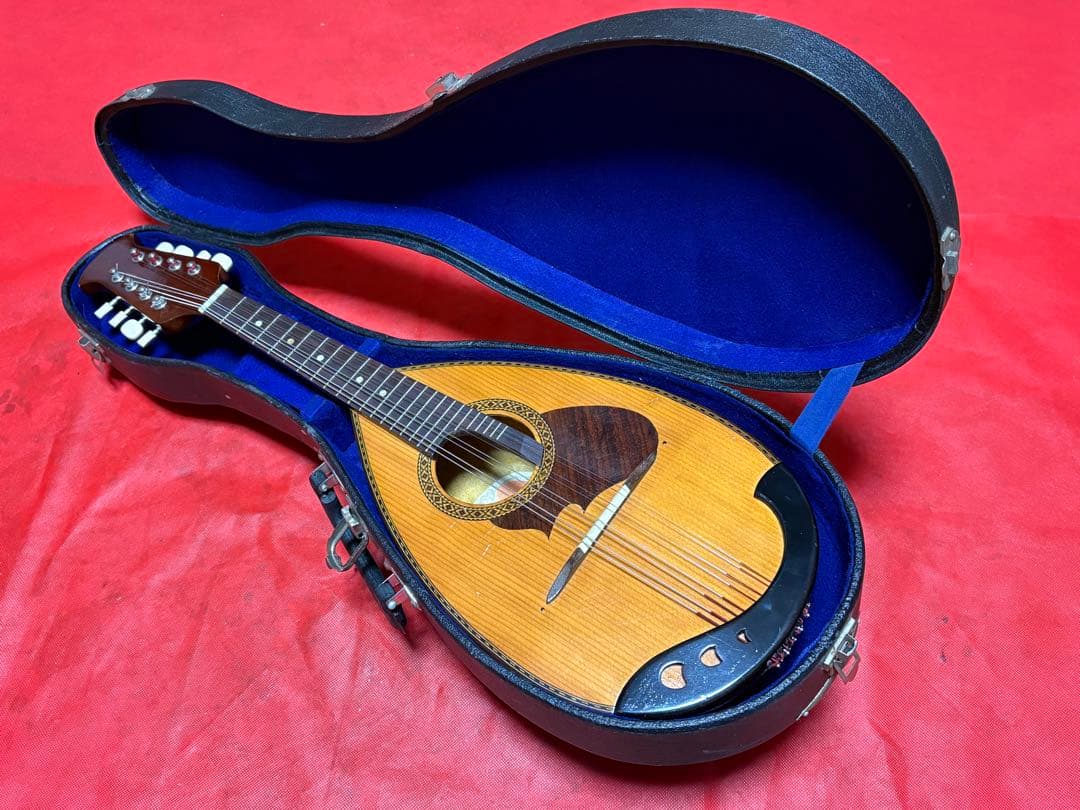 鈴木バイオリン　マンドリン　M-210 専用ハードケース付き　1917-03-1