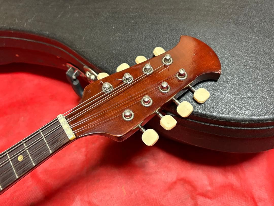 鈴木バイオリン　マンドリン　M-210 専用ハードケース付き　1917-03-1