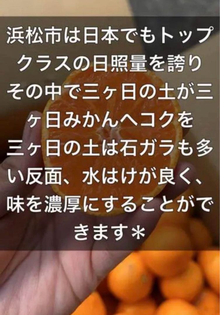だいちゃん