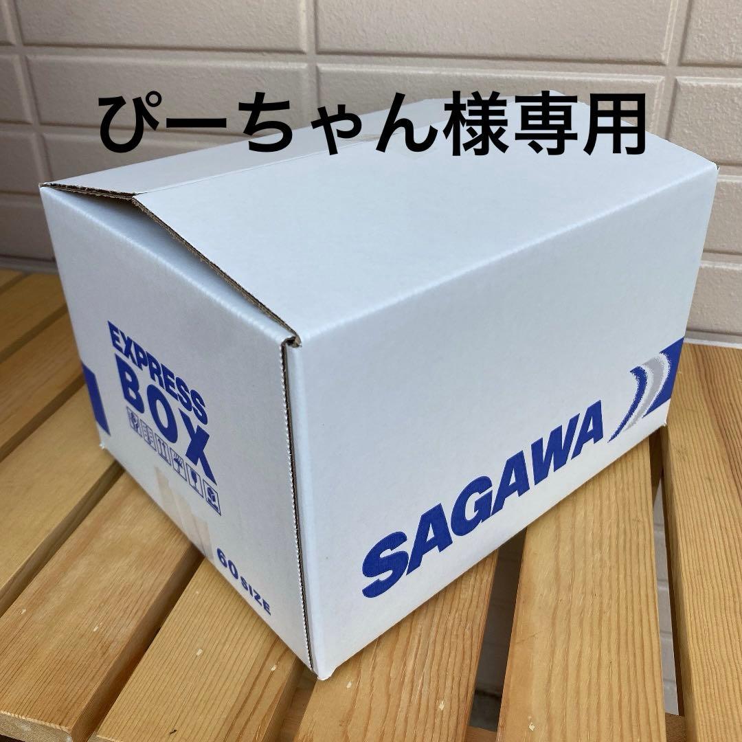 リクエスト出品(ぴーちゃん)