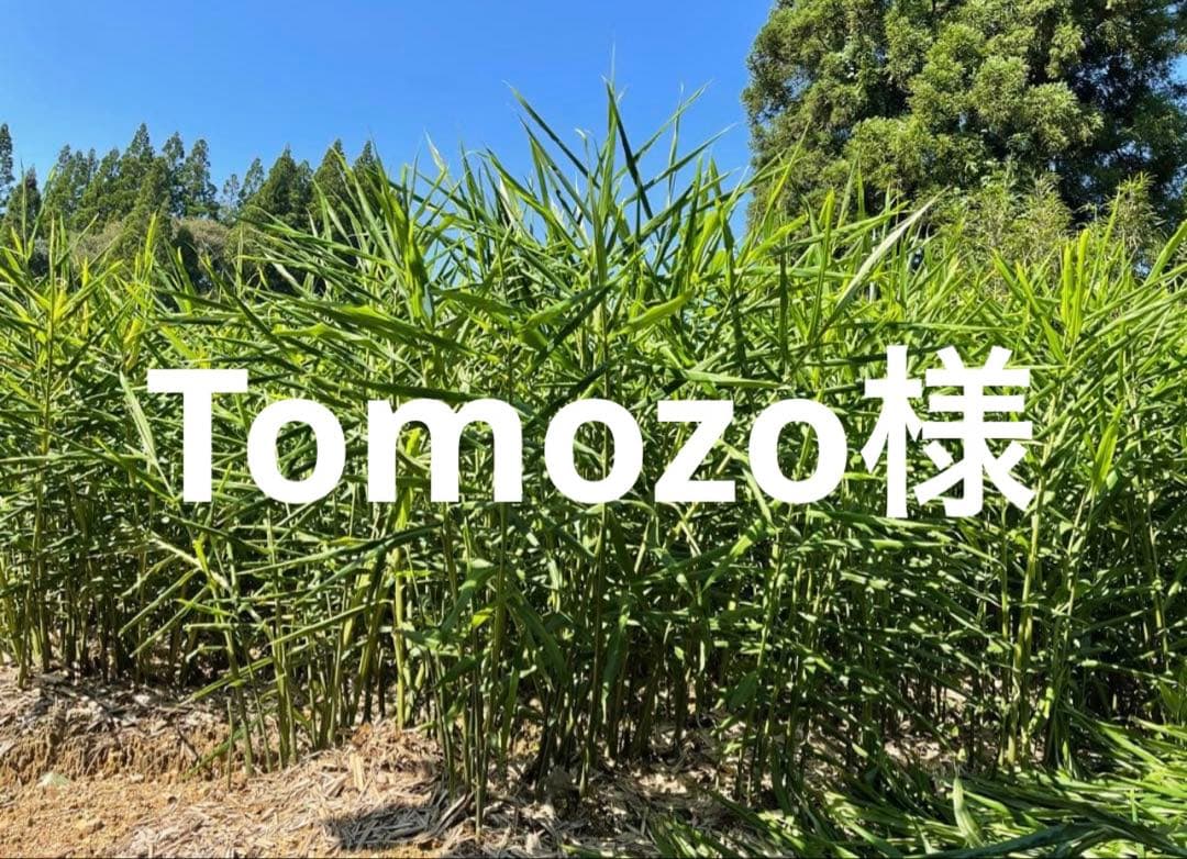 野菜 20kg