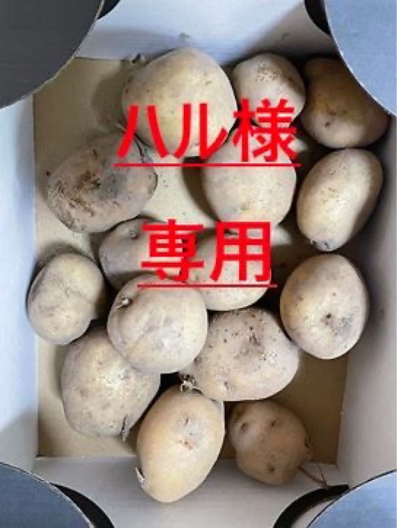 ハル