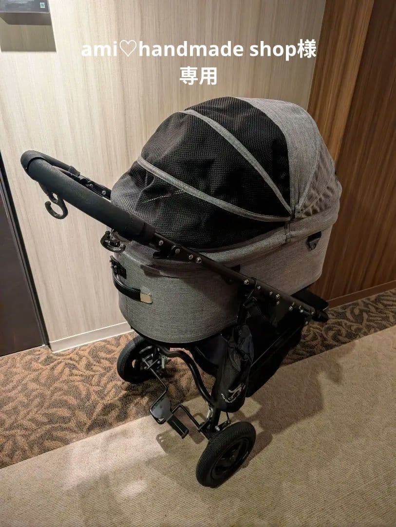 エアバギー　★条件付きで2000円OFF★