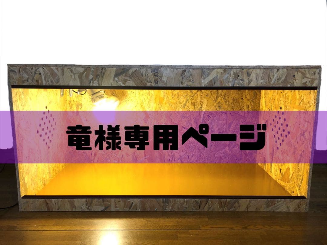 竜ページ