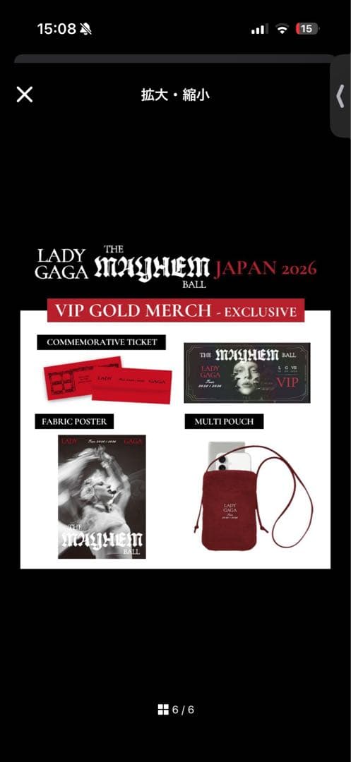 レディーガガ　ライブ　The Mayhem Ball 2026VIP GOLD