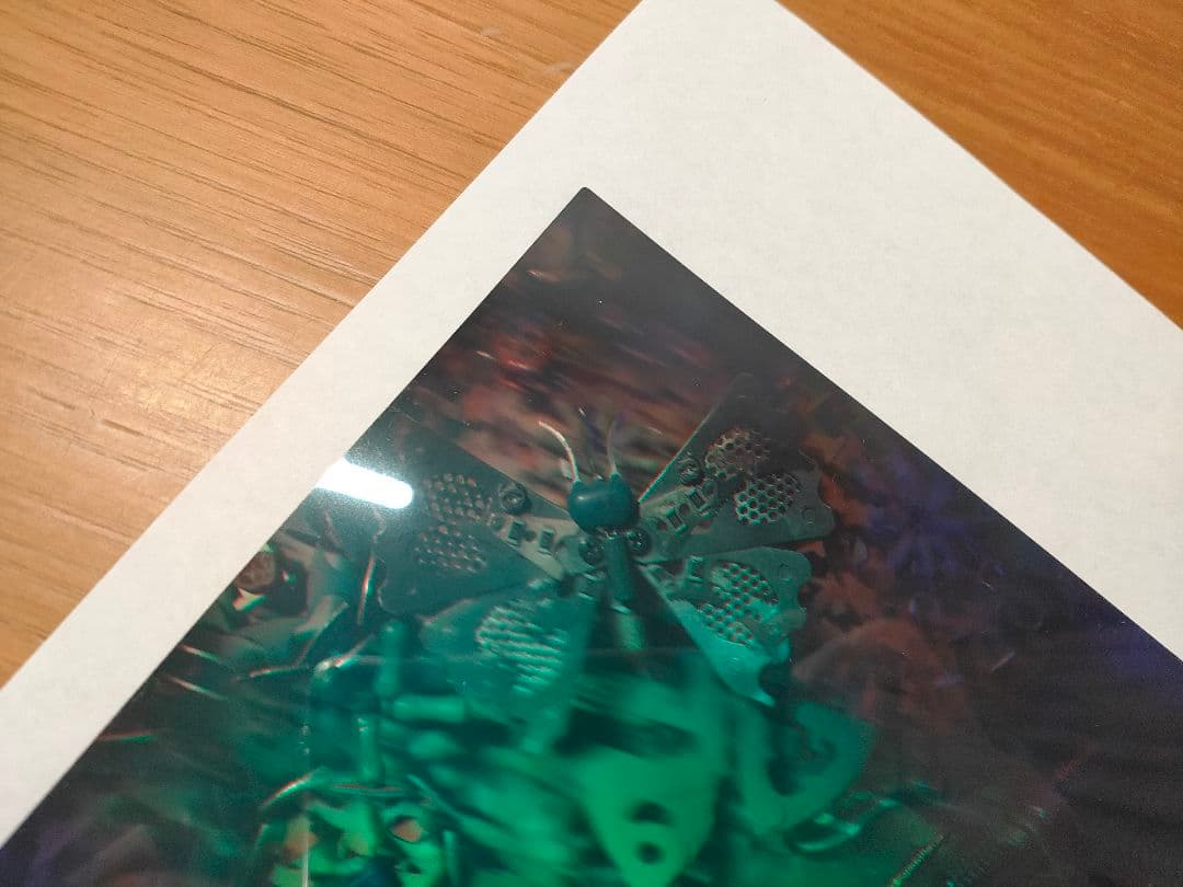 3 D ホログラム