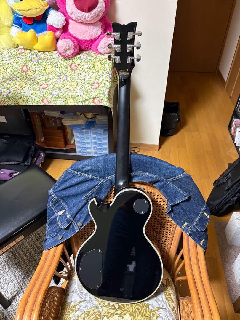 SCHECTER/SOLO2 CUSTOMレスポールモデル