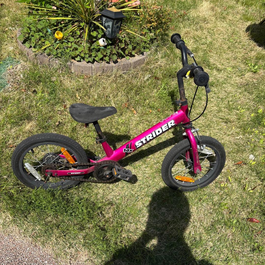 自転車本体 Exotic jungle