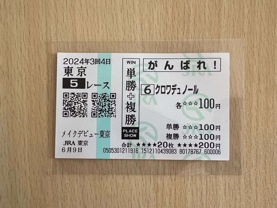 クロワデュノール 新馬戦 馬券