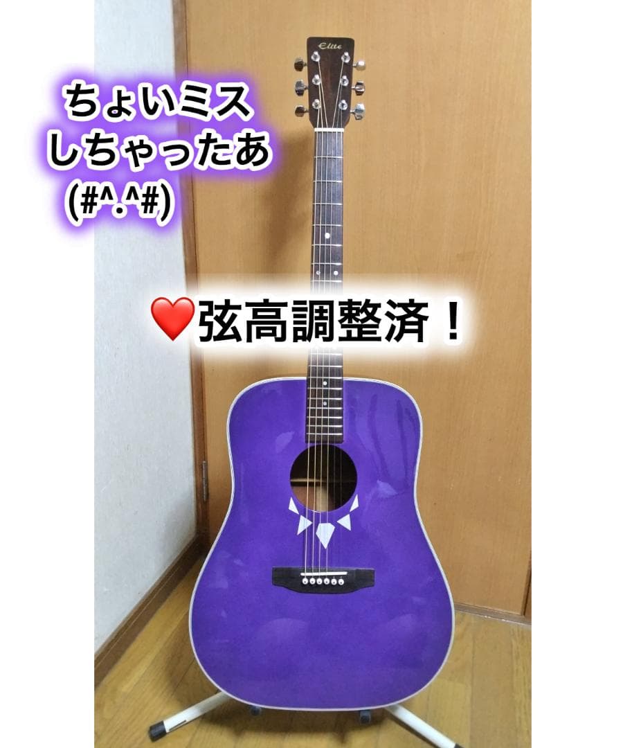 ❤️弦高調整済「Elite TW-20 タカミネ エリート 」(#^.^#)あっ