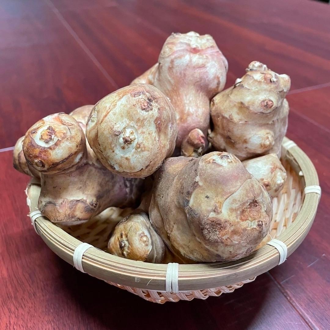 山形県産　菊芋パウダー　1kg(100g×10袋) 山菜　野菜　山菜　乾燥野菜