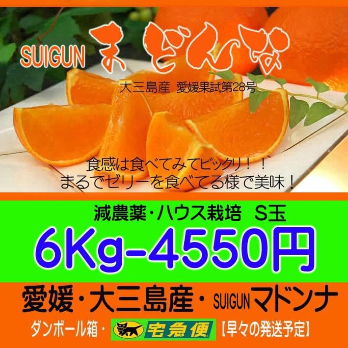 【Miu_b】SUIGUNマドンナM6Kg+S6Kg　【２箱縛りでの発送】