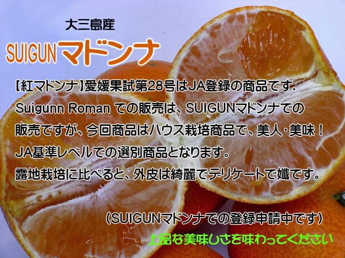 【Miu_b】SUIGUNマドンナM6Kg+S6Kg　【２箱縛りでの発送】