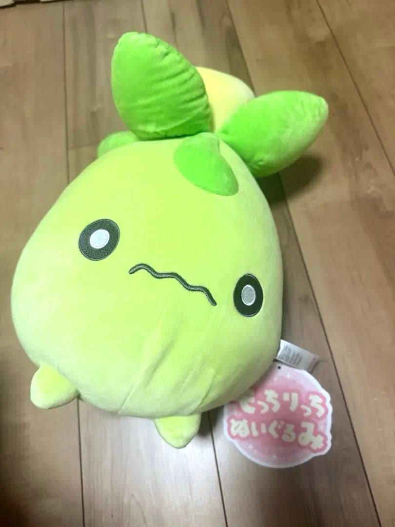 ポケモン ミニーブ もっちりっち ぬいぐるみ