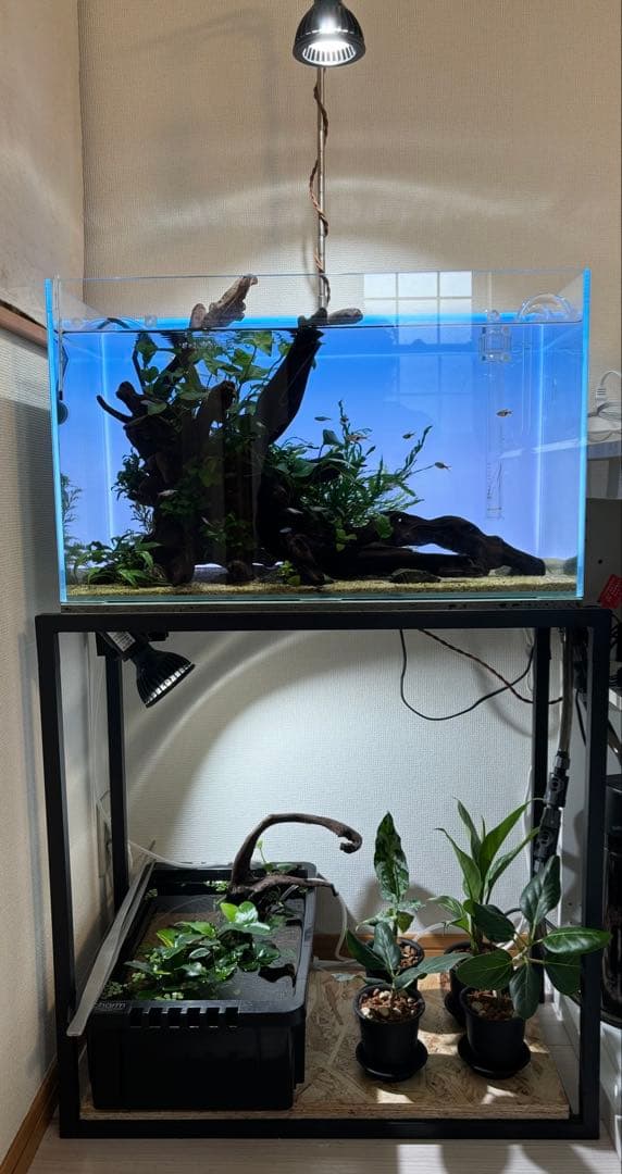ADAガラス水槽セット（スタンド付き）
