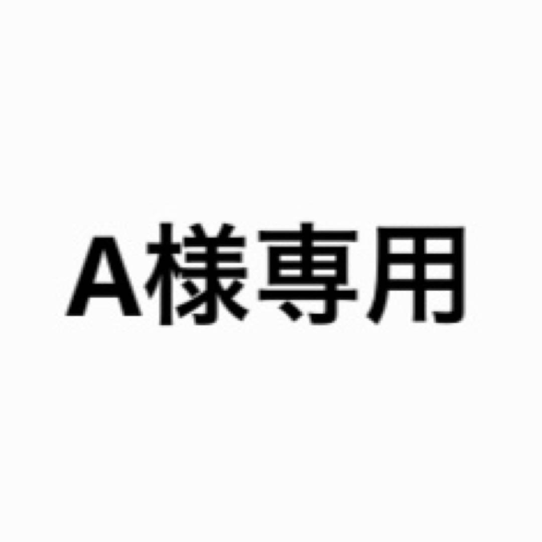その他 A