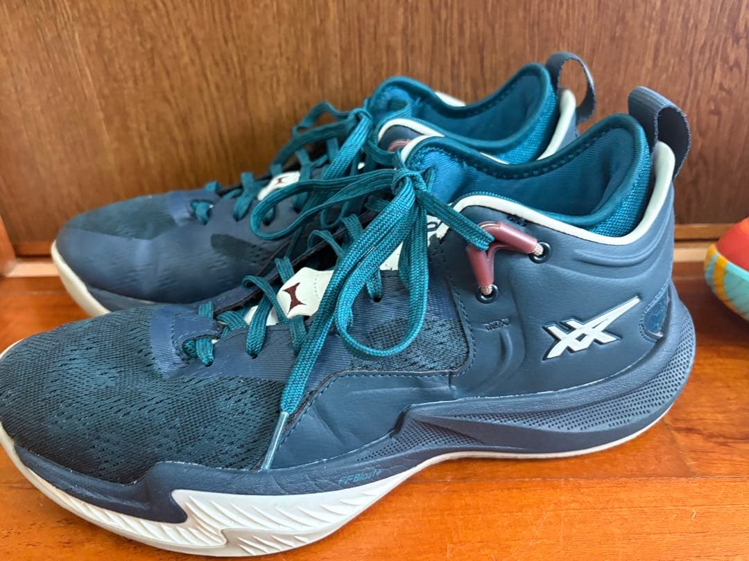 シューズ(男性用) NOVA SURGE LOW2