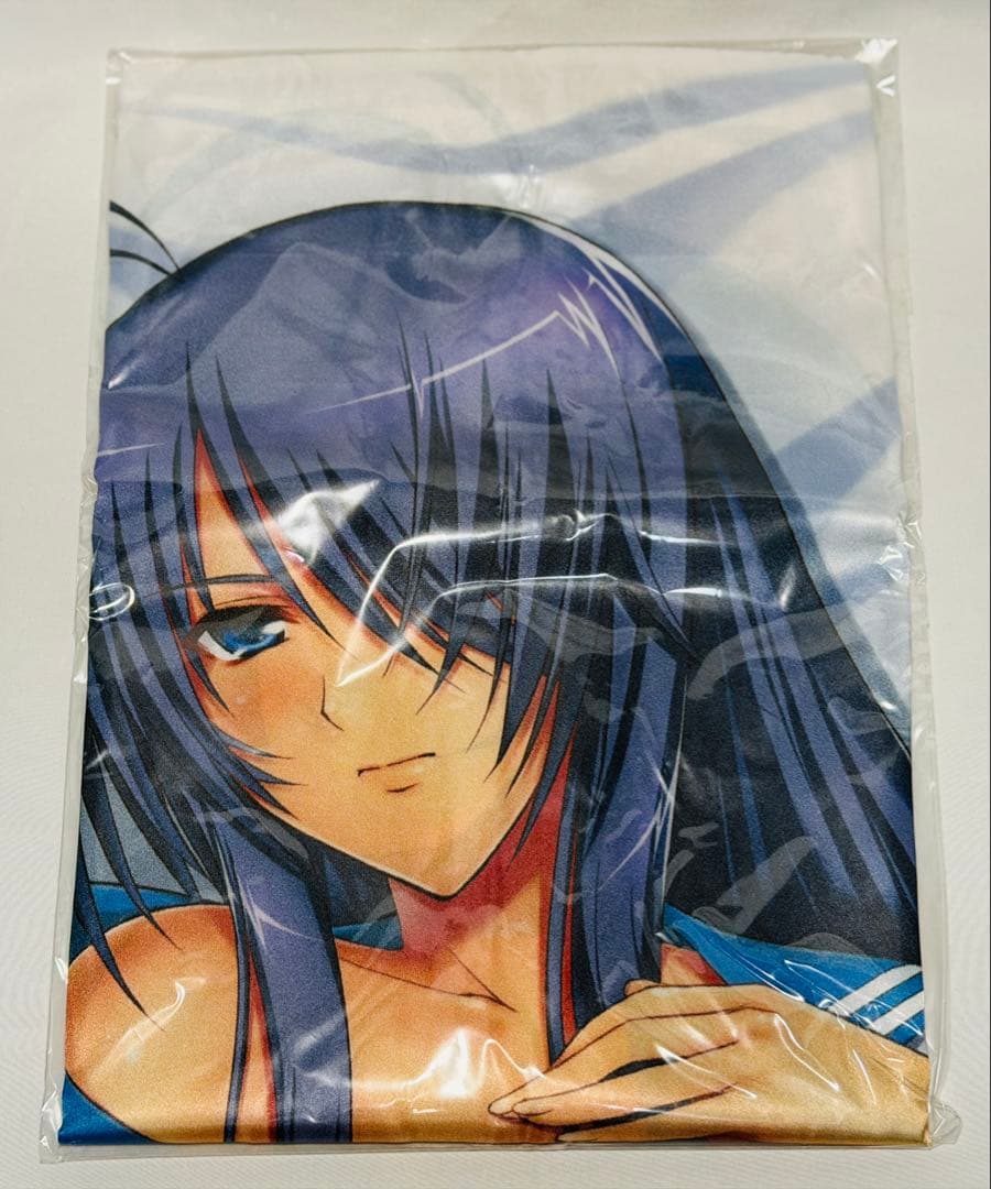 とらのあな 一騎当千 GG 関羽雲長 抱き枕カバー イシガキタカシ