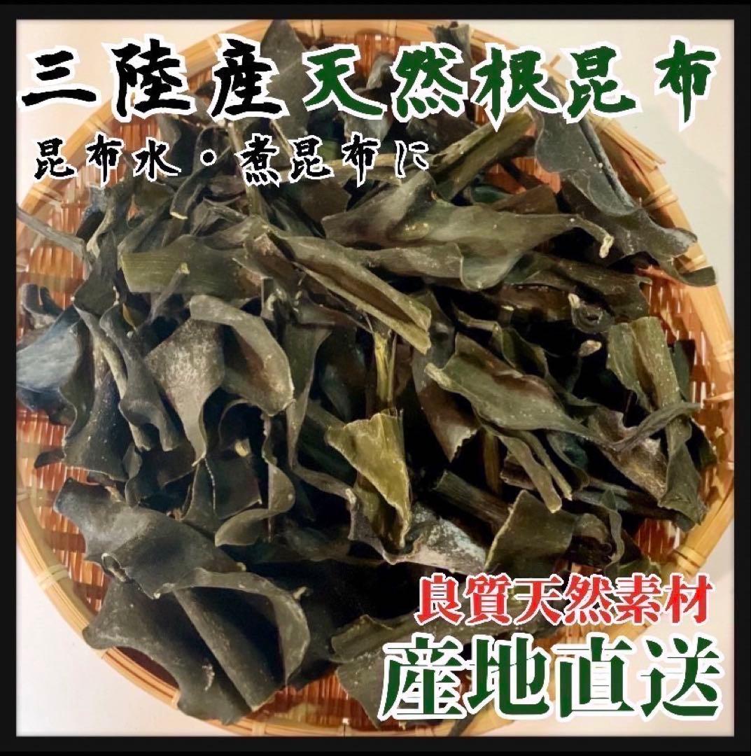昆布　【岩手県産】乾燥根昆布　3kg 粘り強い　昆布茶　希少部位　煮物に最適