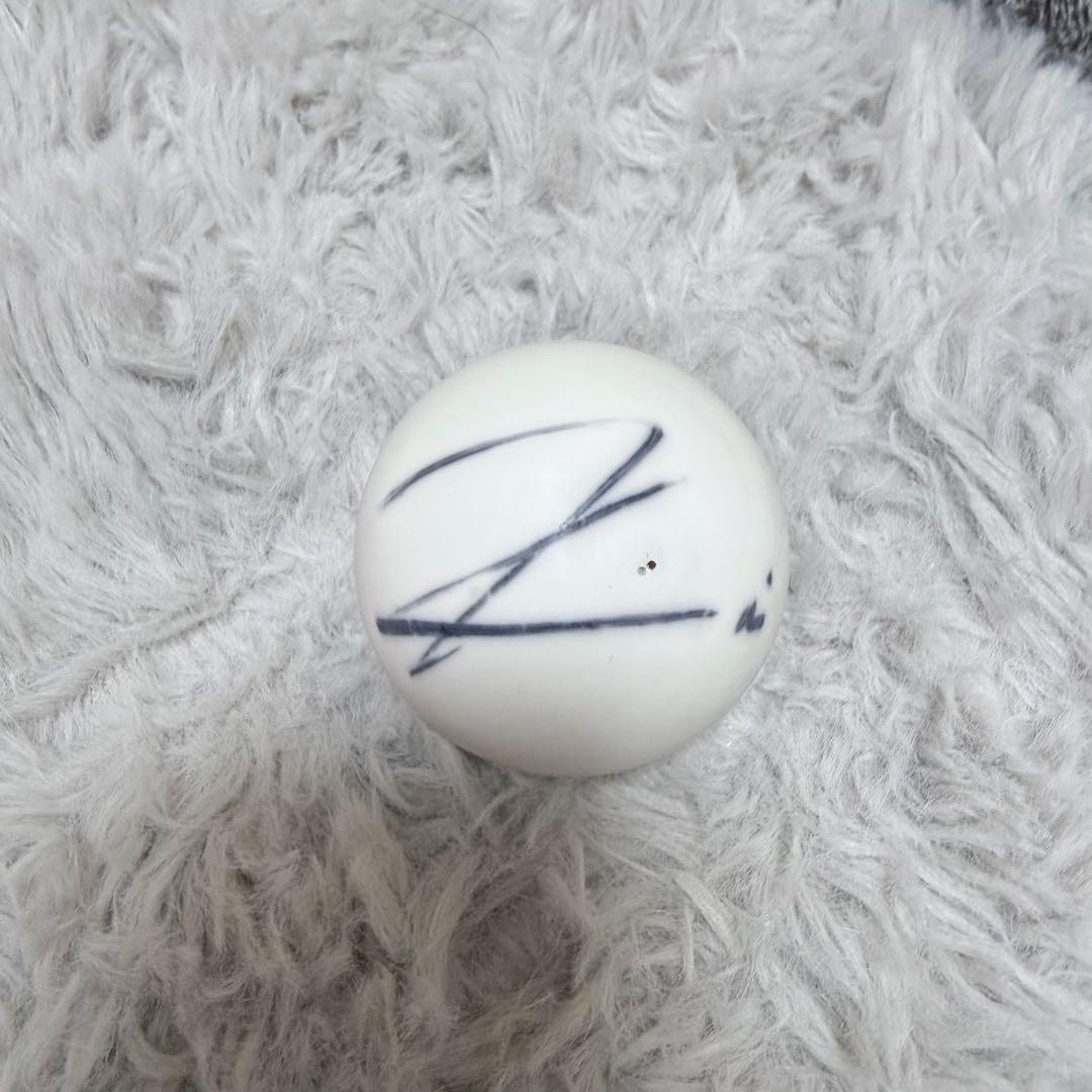 EXO KAI カイ　サインボール
