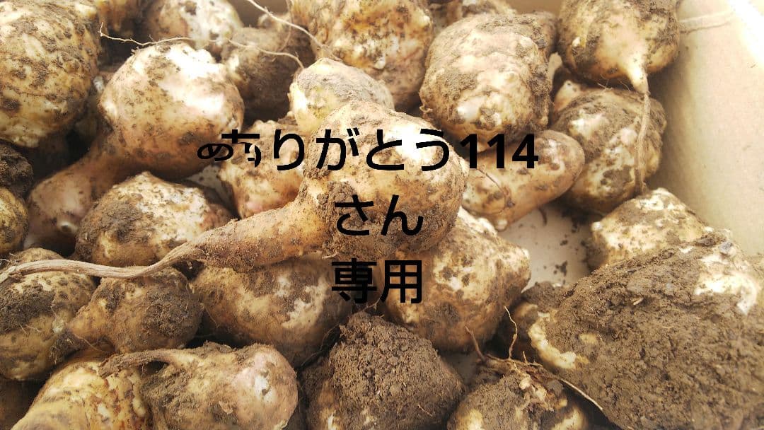 ありがとう114さん専用