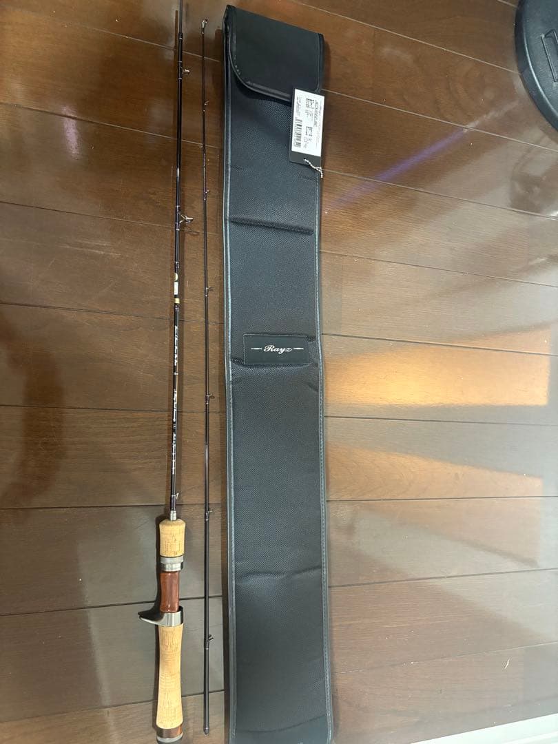 テンリュウ　レイズスペクトラ　RZS51LL-BC 美品
