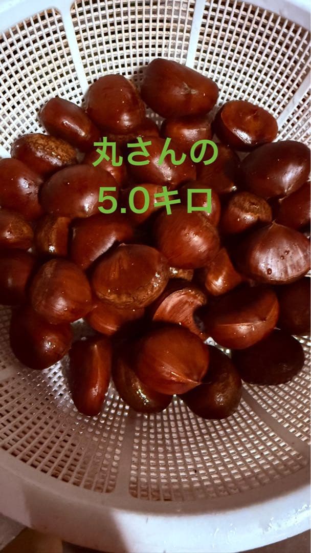 栗 生栗 5.0キロ　農薬不使用 サイズ(L-3L)