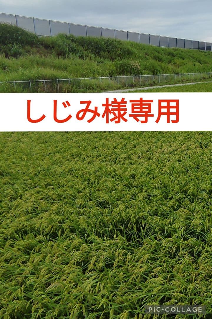 しじみ