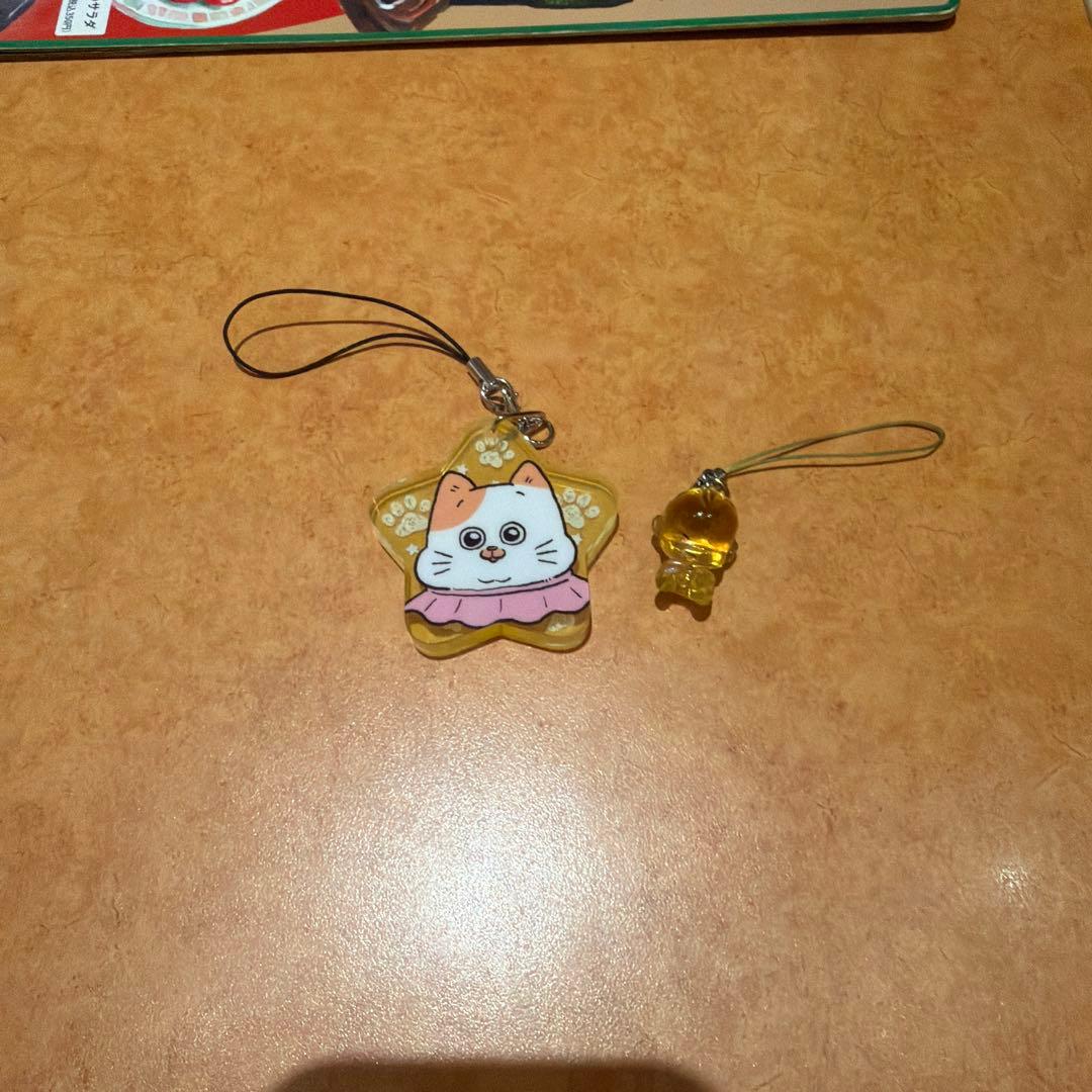 猫に転生したおじさん「パクパク」と金運キーホルダー