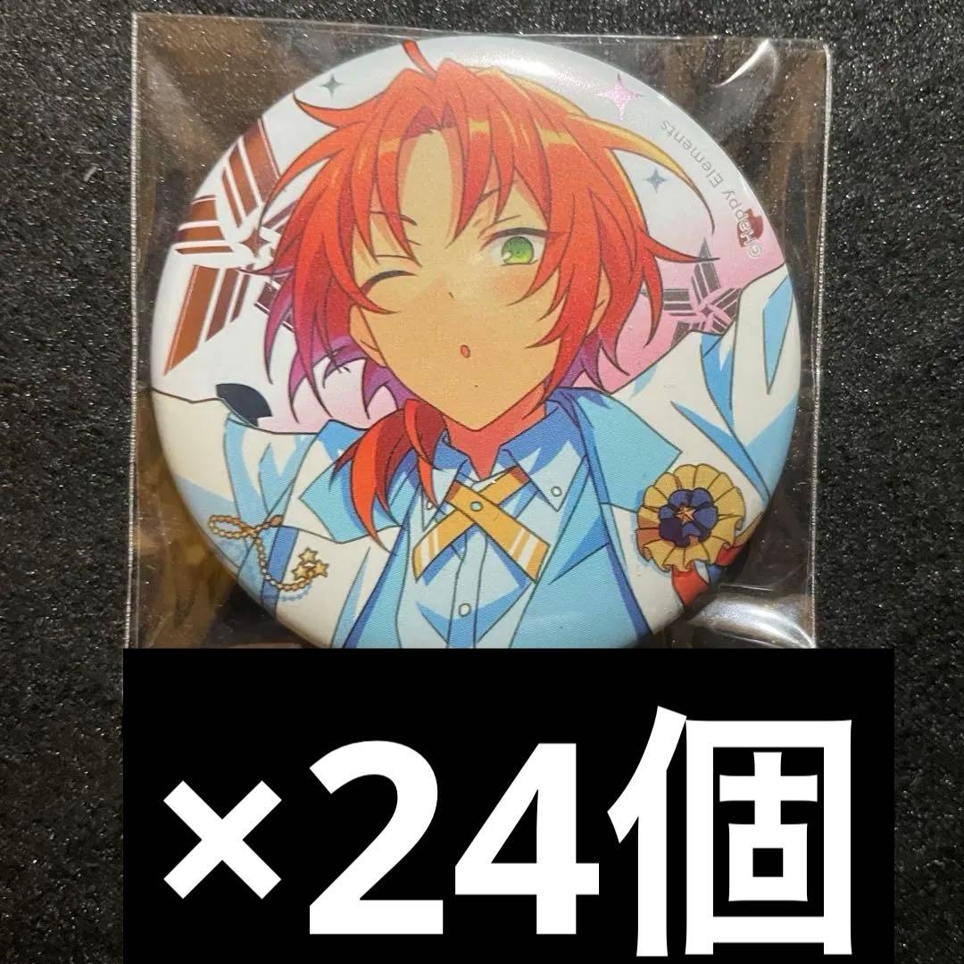 専用 24個