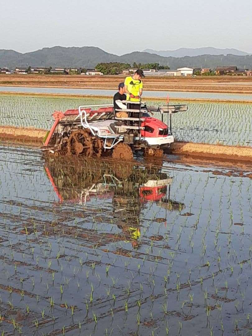 特別栽培米新潟県産ミルキークイーン20k