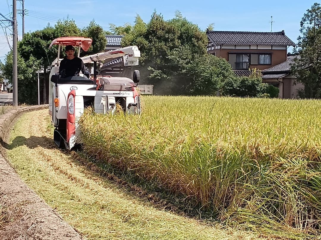 特別栽培米新潟県産ミルキークイーン20k