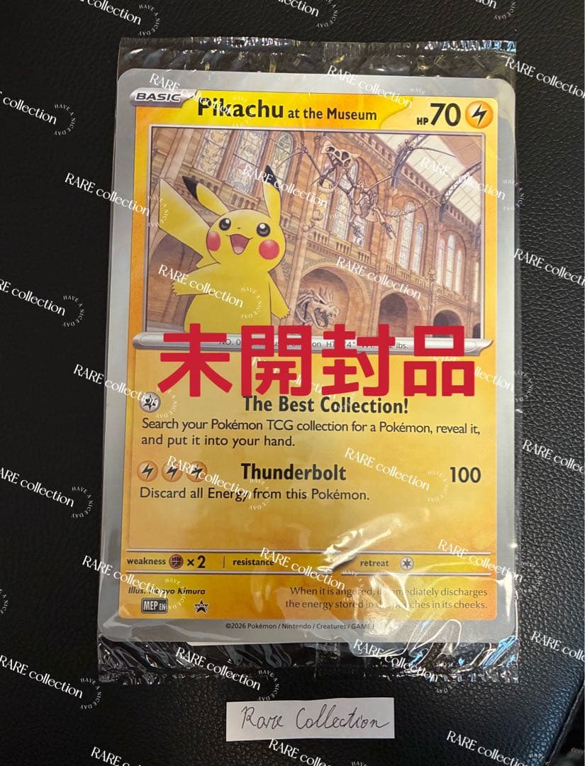 Pikachu at the Museum ピカチュウ ロンドン自然史博物館13