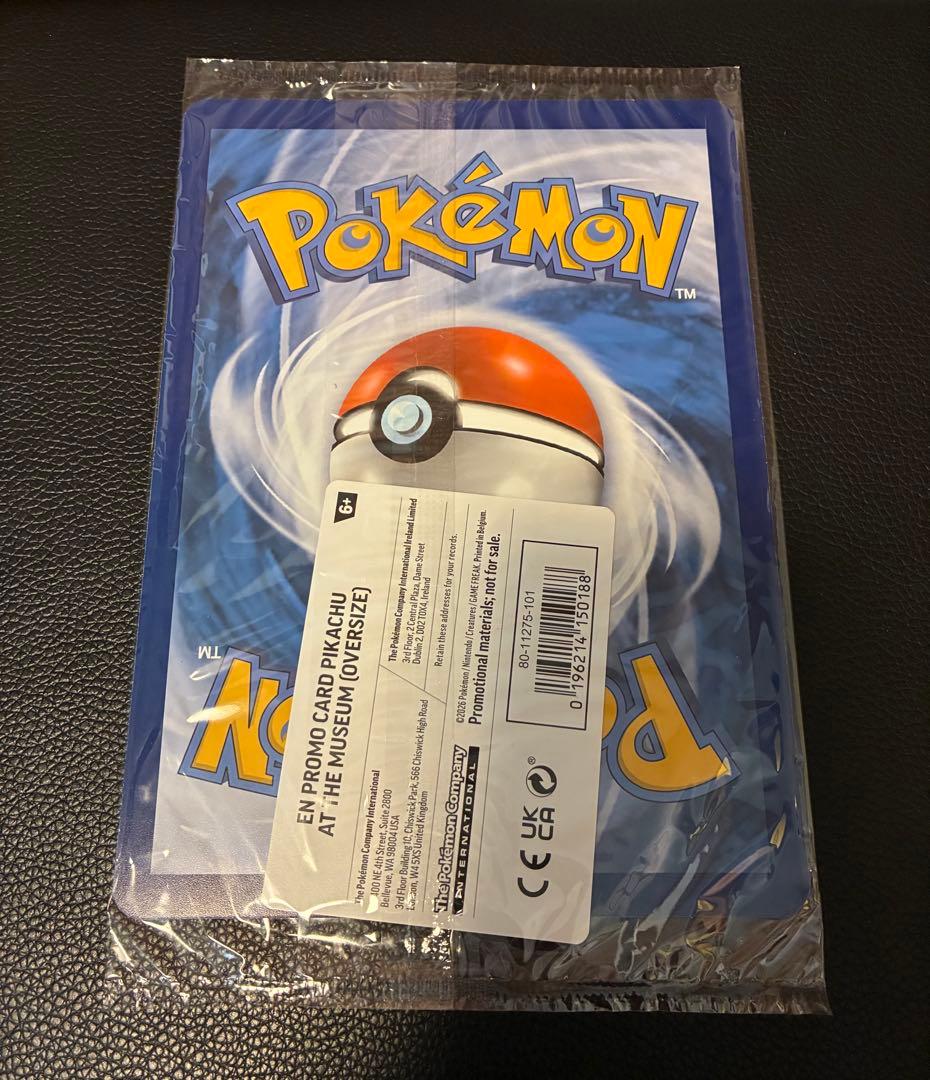 Pikachu at the Museum ピカチュウ ロンドン自然史博物館13