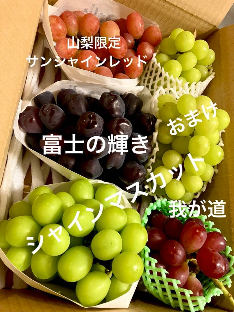 山梨限定サンシャインレッド、富士の輝き、シャインマスカット、3色セットおまけ付き