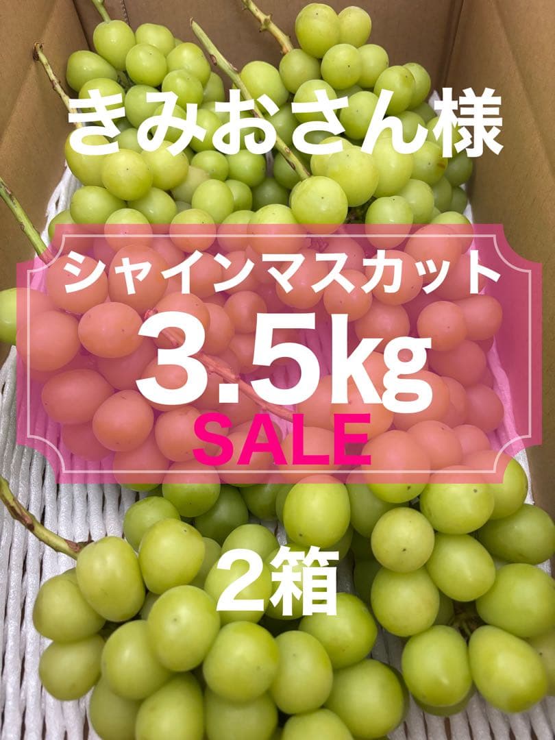 きみおさん様