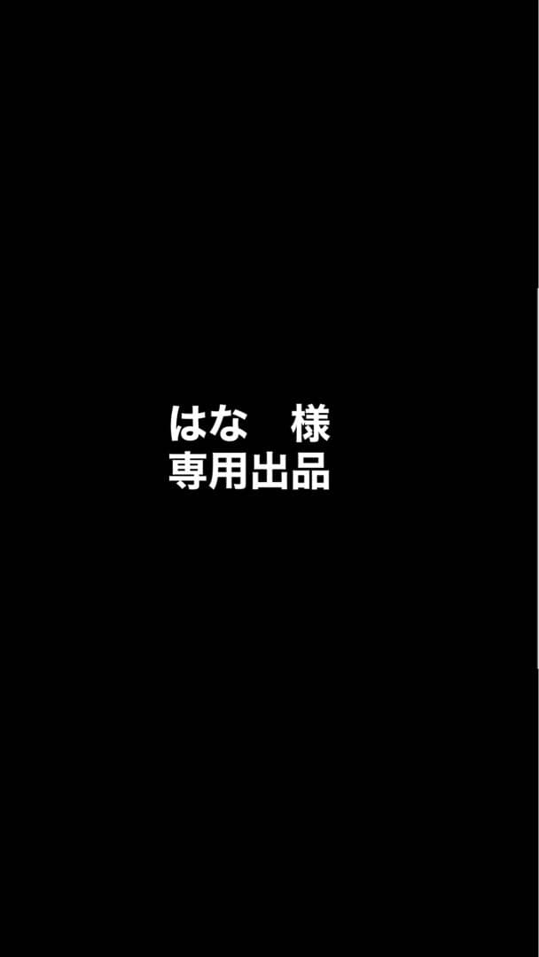 新政　陽乃鳥スパーク